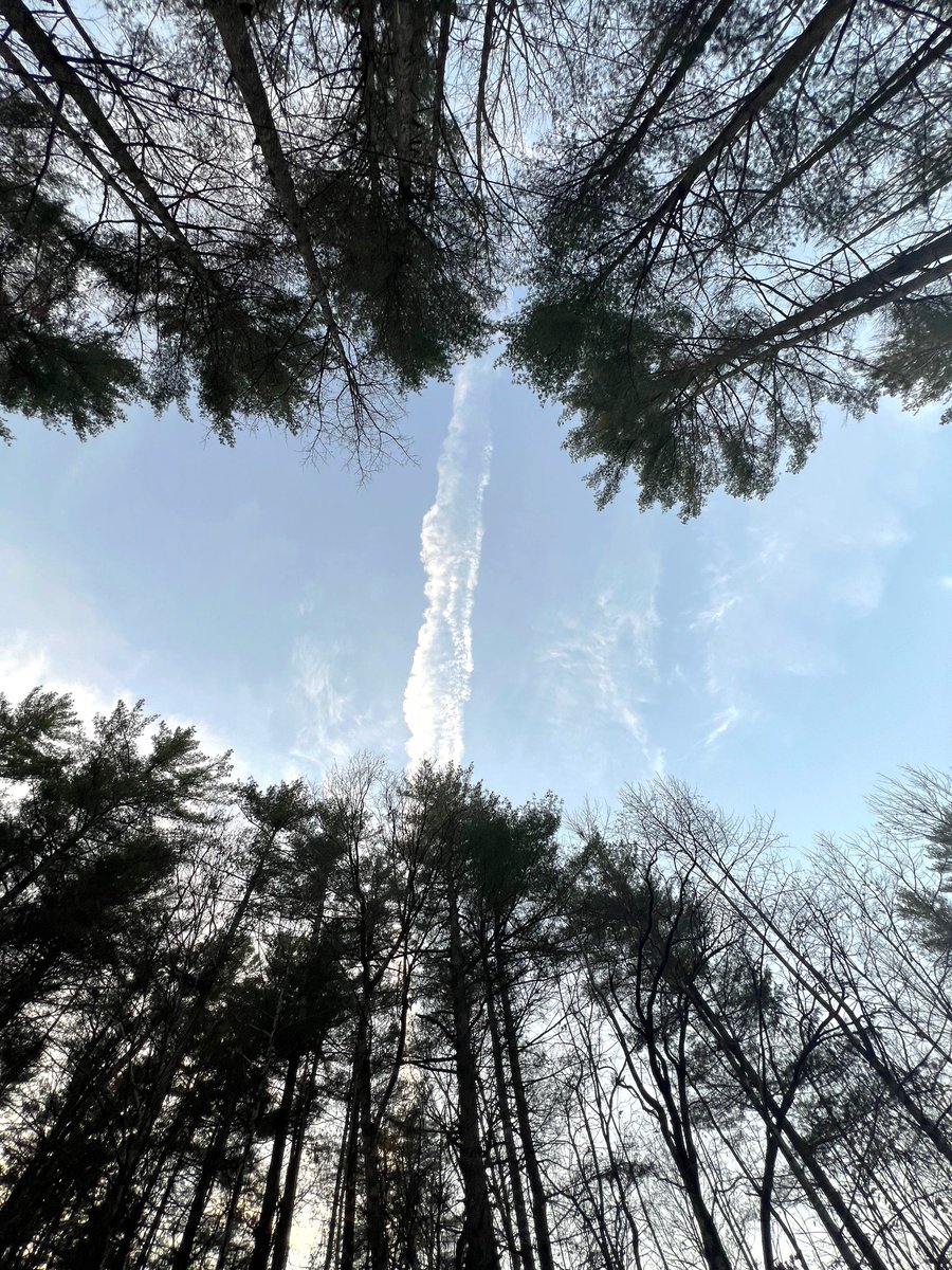 JF Ptak 🏳️‍🌈 tweet media