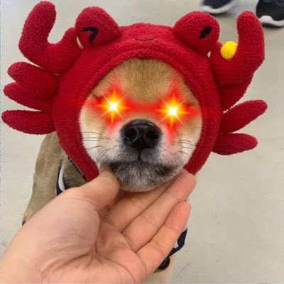 canwifhat tweet media