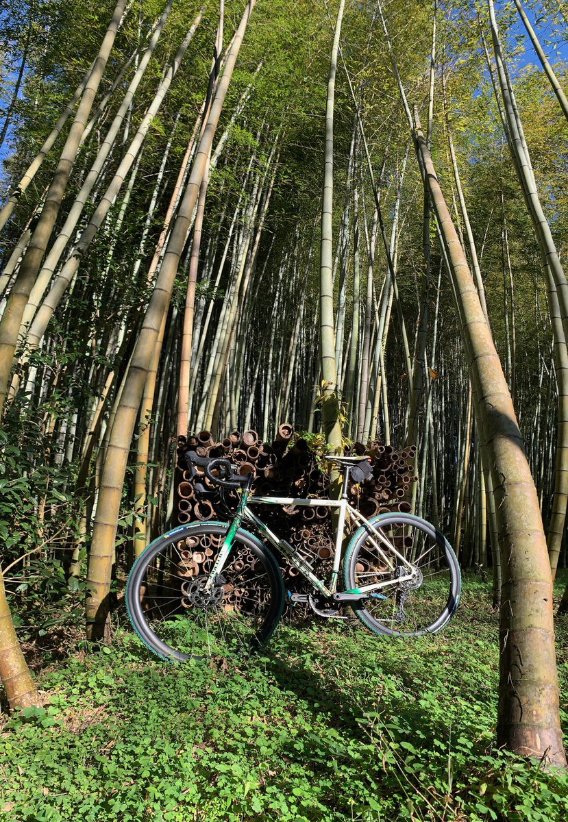 MULLERjapan's tweet photo. 秋になると、藪の中に入りたくなる。
いつもの事だけどね😅

#tado
#newmodel 
#spiralchromoly 
#tangechromolyfork 
#gravelbike 
#graveltouring 
#enjoylife 
#enjoyriding 
#mullerjapan 
#mullerjapanbikes https://t.co/qbdrW8WGVU