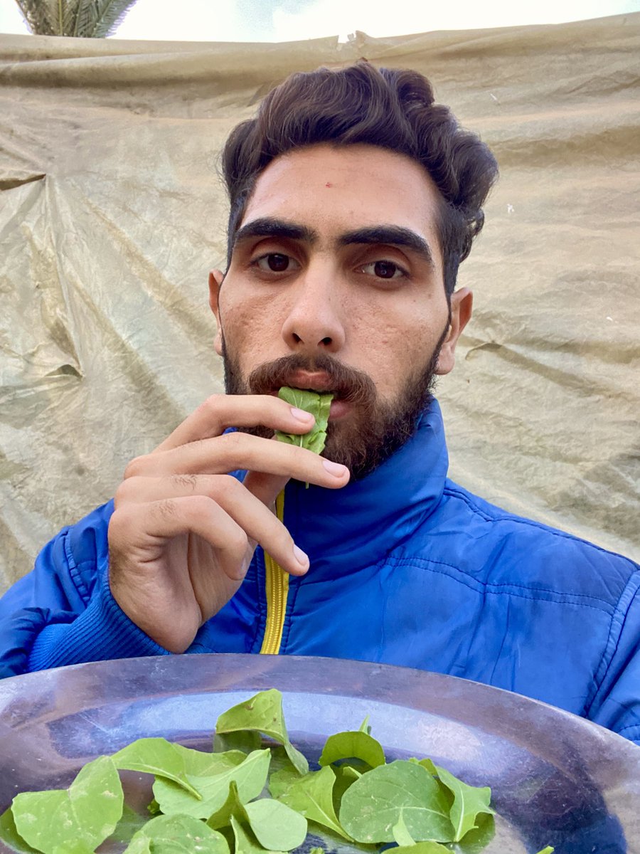 Dr_SaebGaza's tweet photo. We are in famine and have reached the point of eating tree leaves💔
#BB26 

https://t.co/UlsXG6qlKK https://t.co/gpOEerhD5v