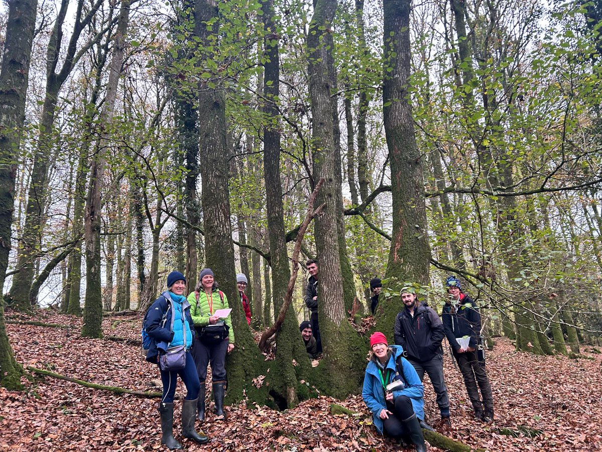 We had the first Irish Bryophyte Group field meeting of the season last Sunday (17th Nov). An area of private ancient oak woodland, with some wet woodland, in Co. Wicklow. I'm going to be mostly posting on BlueSky from now on - come on over!