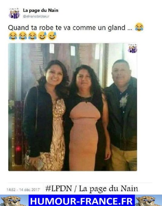 text alternatif