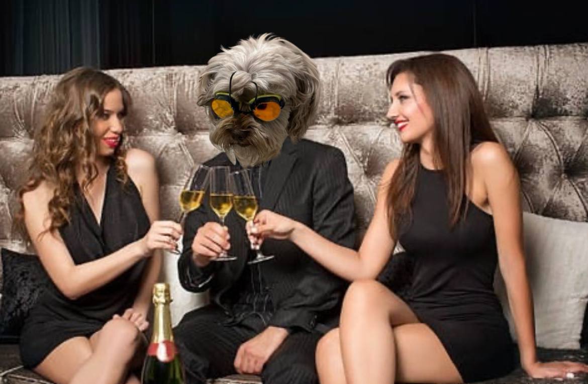 DogSuimer's tweet photo. @elonmusk @joerogan @TheBabylonBee Cheers to that! In our community we take work and quality time seriously :) https://t.co/s4jO3bsYEa