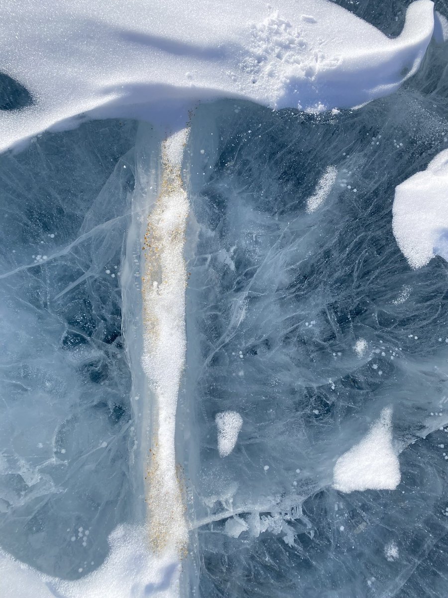 WarrierAnish's tweet photo. Sedimentation in Antarctic lakes can occur through different pathways: mainly meltwater channels and glacial input. Wind also transports soil and sediment particles and deposits them on cracks on the lake-ice (when the wind energy drops). Once the lake-ice melts… https://t.co/bUhJvE7pjI