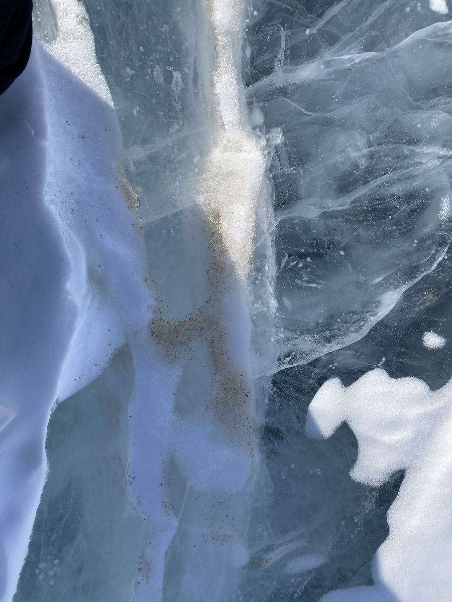 WarrierAnish's tweet photo. Sedimentation in Antarctic lakes can occur through different pathways: mainly meltwater channels and glacial input. Wind also transports soil and sediment particles and deposits them on cracks on the lake-ice (when the wind energy drops). Once the lake-ice melts… https://t.co/bUhJvE7pjI