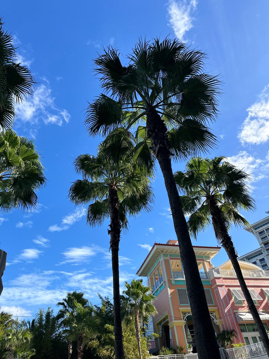 WesBolingTN's tweet photo. Extraordinarily grateful for the chance to travel to the Bahamas and broadcast UVA basketball. I am living the absolute dream — a family I adore, a job I love, and a side gig aligned with my lifelong passion. Even got to call a #Tennessee game and hang with @wpaulmoore. Thankful. https://t.co/UlNFpFI60U