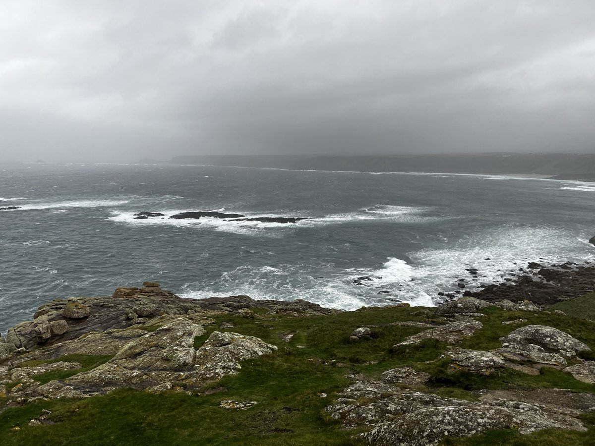 Scott Hamilton tweet media