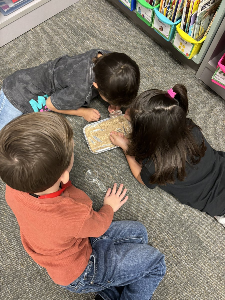 ilovefirsties's tweet photo. Soil investigations @exleyexpress https://t.co/GUuHX33Ku5
