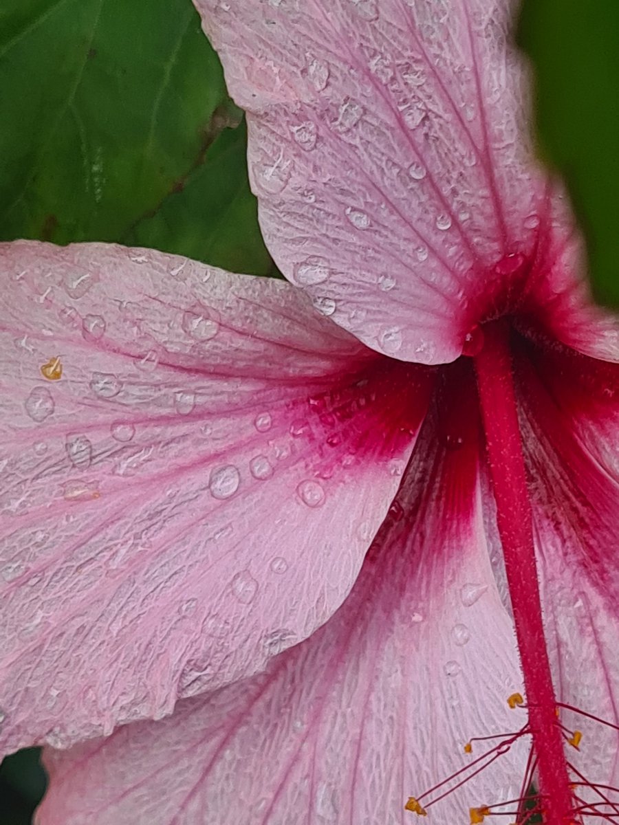 DigiGranBiz1's tweet photo. We had rain, sun & rain again today.
#digigran
#digigrantravels
#NoToAgeism https://t.co/3qfE7MElXA