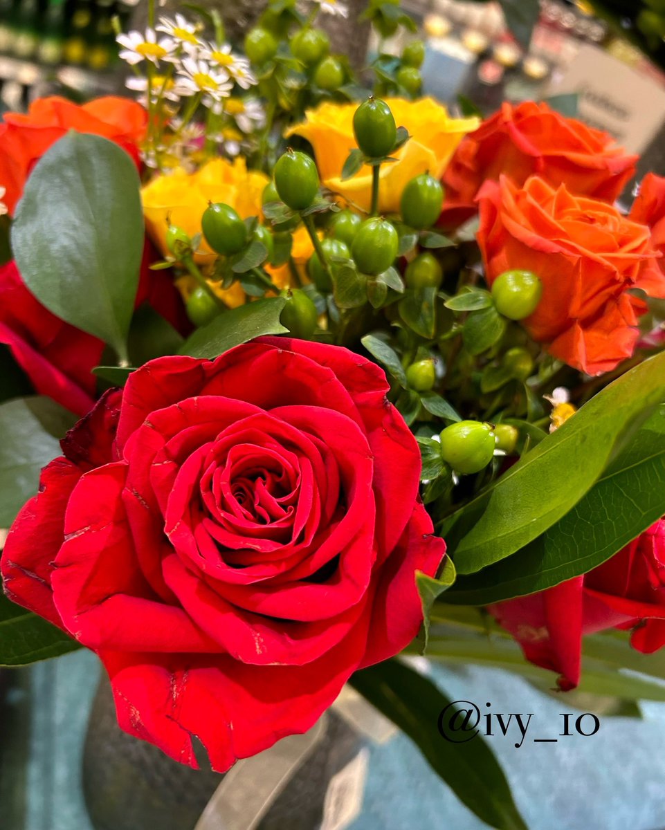 ivy_l0's tweet photo. Beautiful blooming.#beautiful_flower #Flowers #graden #photograghy https://t.co/j8MBCXgXQH