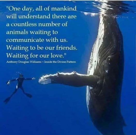 Ellie CG tweet media