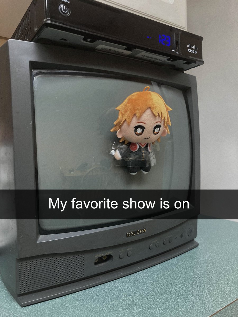 cat 🌱 tweet media