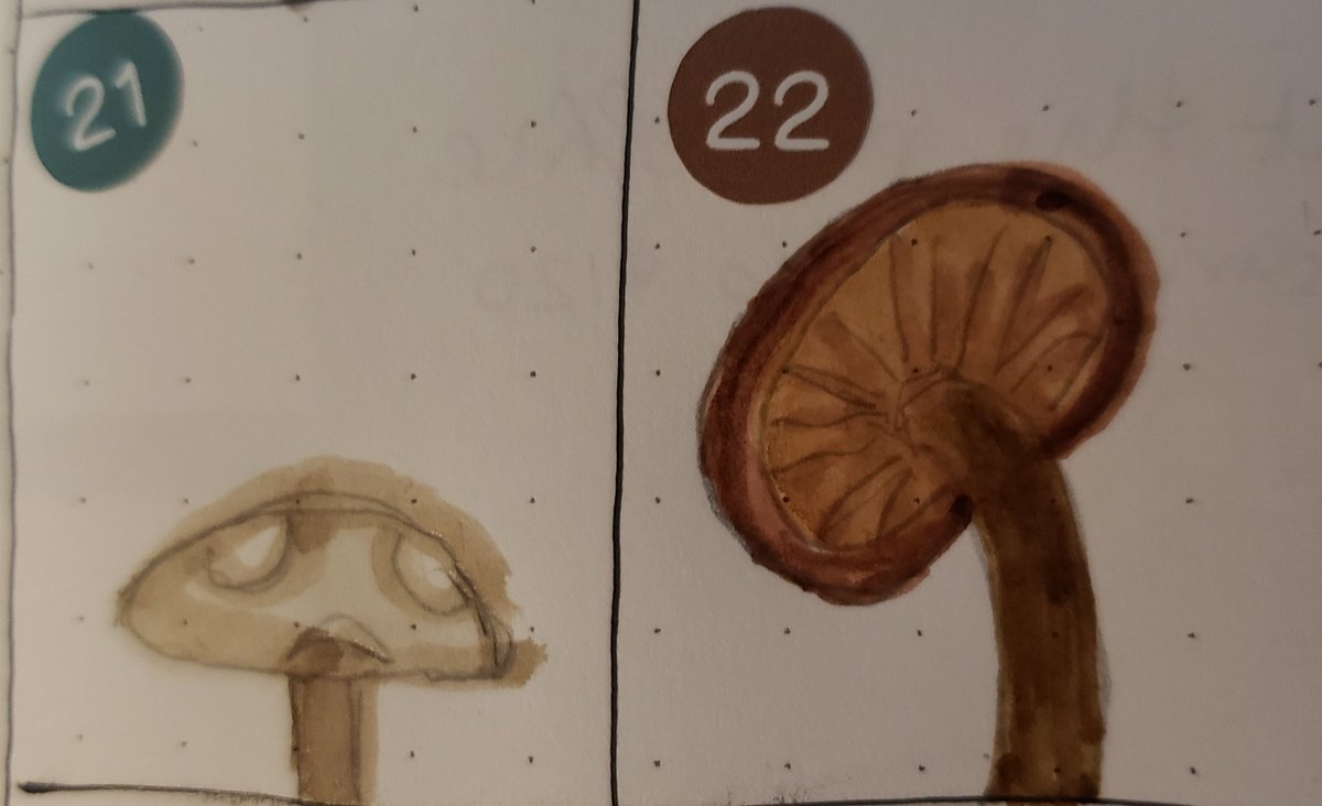 GamingWithMim's tweet image. This week&apos;s MiMshroom doodles 🍄
#MimArt