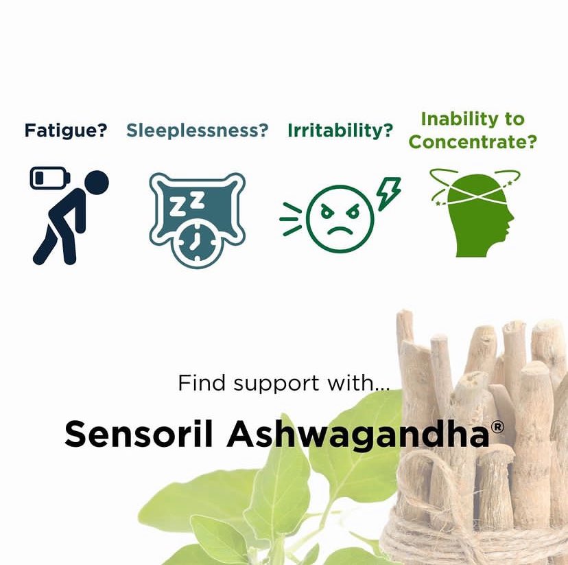 ScienceBasedIng's tweet image. Sensoril Ashwagandha is a patented plant based Ashwagandha extract composed from the leaves and roots of the Ashwagandha plant, designed to support a wide range of health benefits. Discover more about our science-based ingredients, visit our website sciencebasedingredients.com