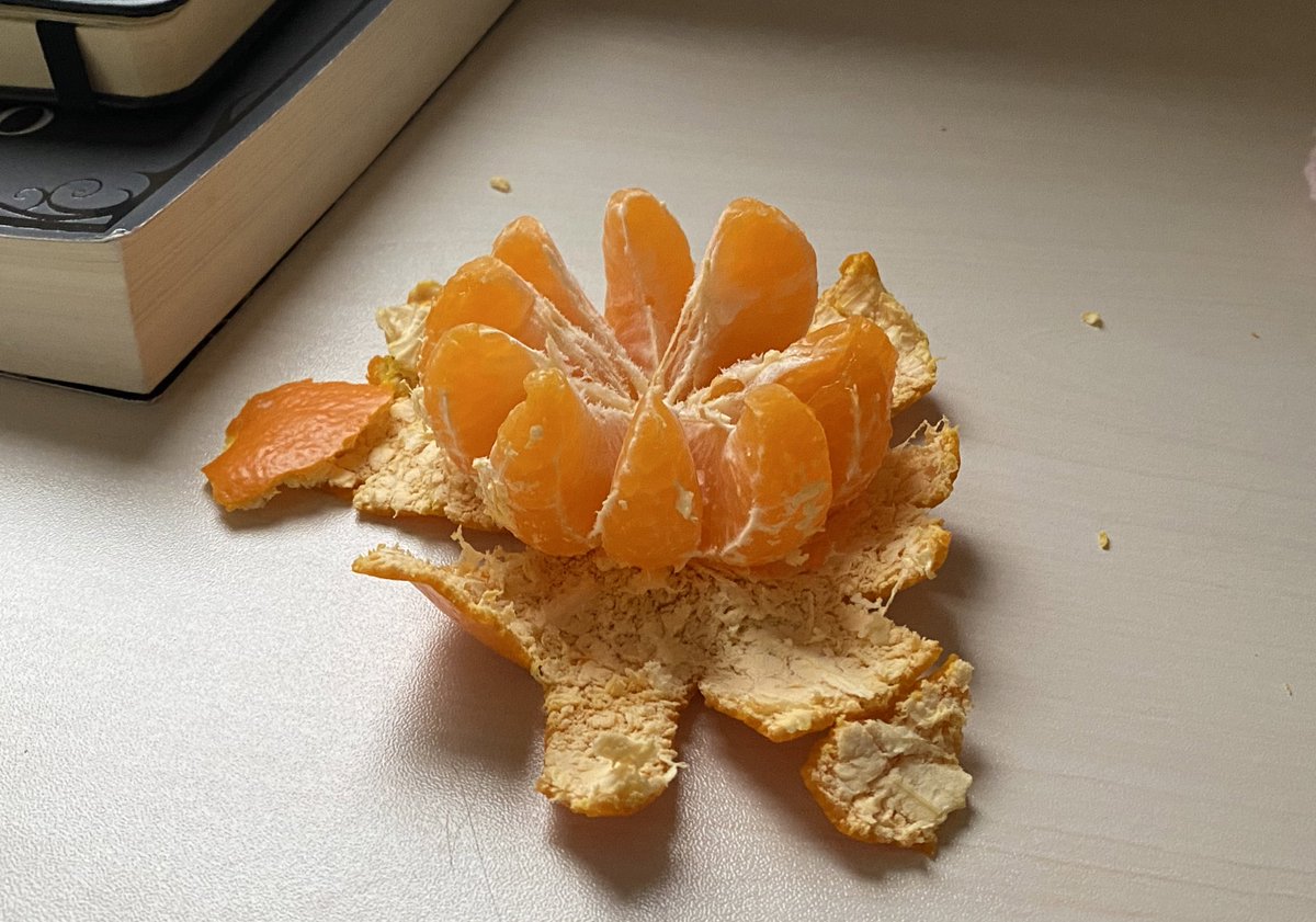 seaklae's tweet image. this and yapping in my journal