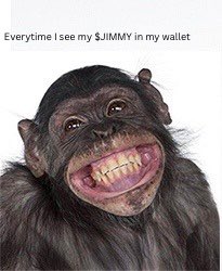 $JIMMY 
5FLziC58d8fLFnPqitjbQLjsdf3hzkvugtkw7BPZpump

<a href="/hasbulla/"></a> 
<a href="/SungurovS/">SurkhAi Sungurov</a> 

#bananabillionaires 
#suckmacaque