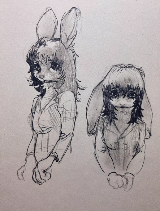 bruh idk how to draw furry 