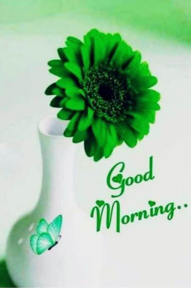 saibef's tweet image. Thank you so much dear Bobbe … enjoy your weekend. Much love ❤️
