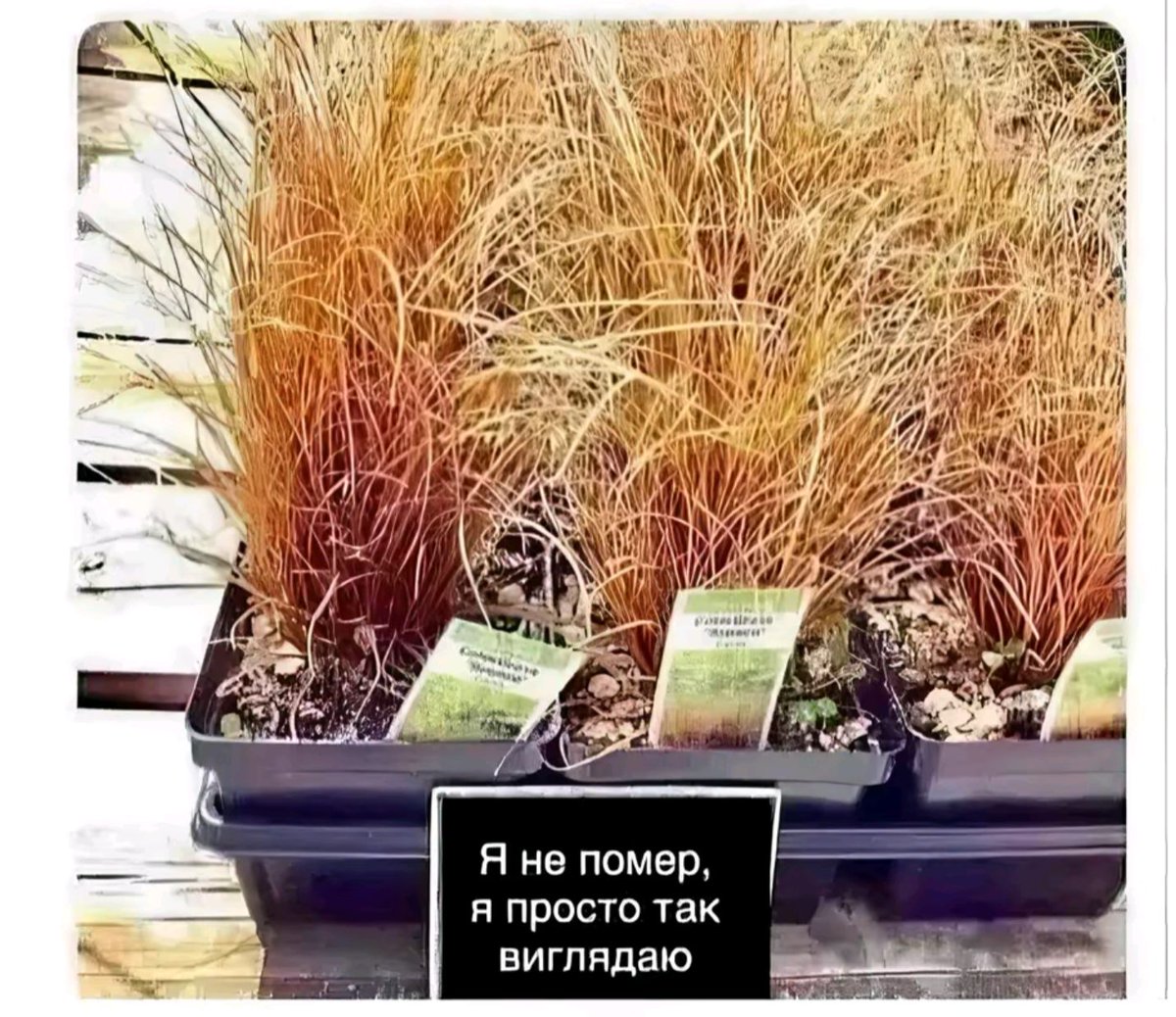 ghos3con's tweet image. - Там, на 7:30 треба під&apos;їхати.