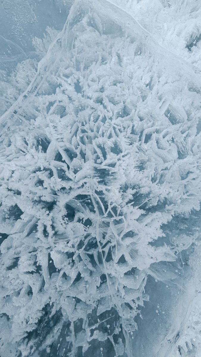 Beautiful ice rosettes forming in the lake ice—nature's intricate artistry in Antarctica. ❄️✨ #Antarctica #IceFormations #Nature