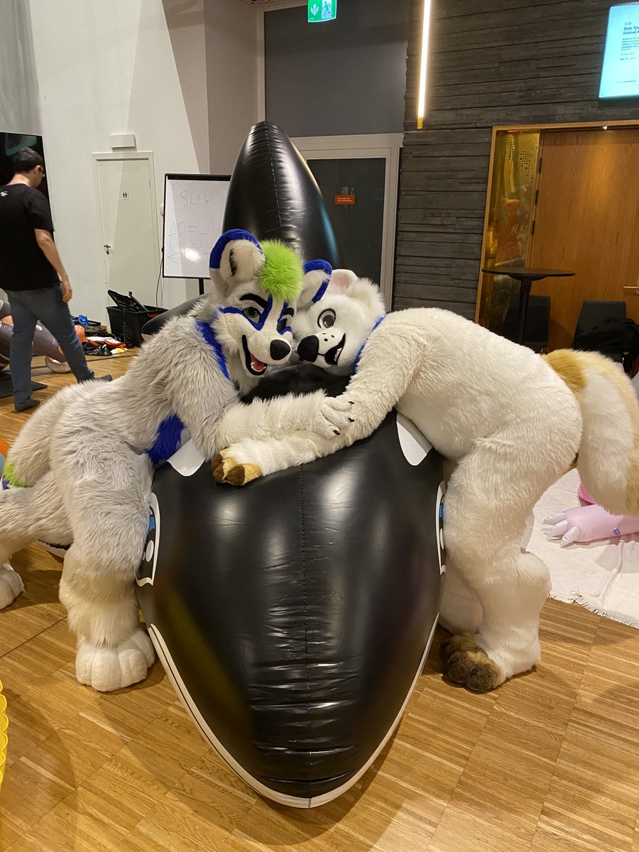 Whaler-Ace 🇳🇱🔜EF30? Aspari Mirror🦊 tweet media