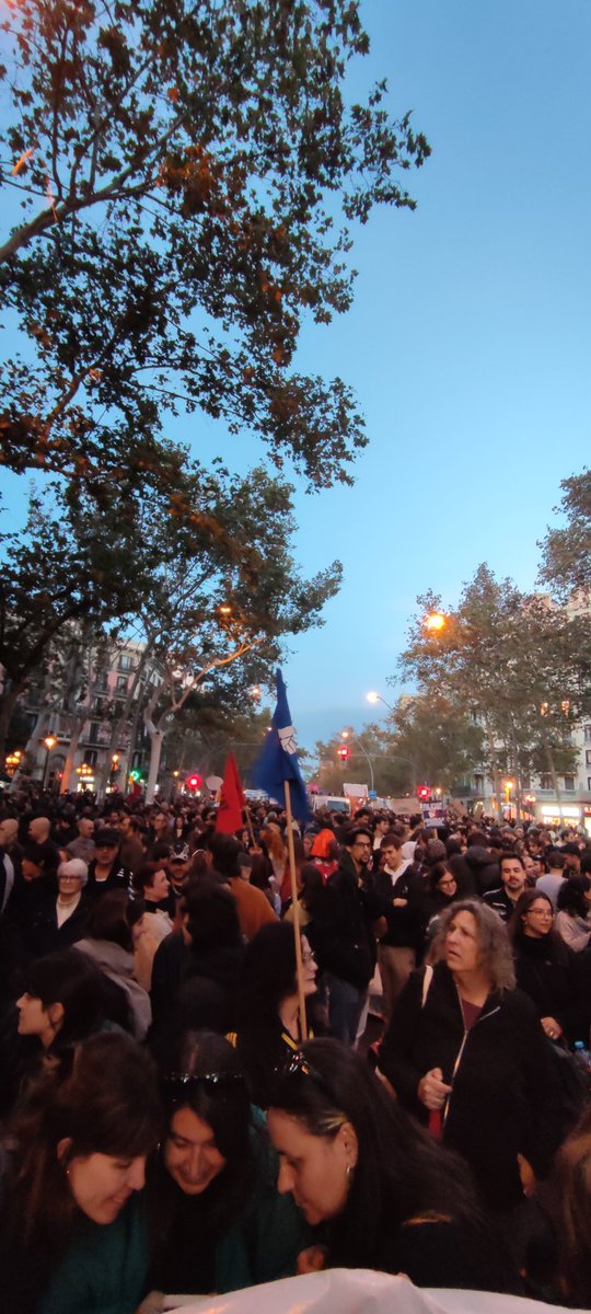 Visió frontal i posterior des de la capçalera de la columna de Gràcia, Vallcarca i Cassoles. Avui hem baixat des de Jardinets més de 6.000 manifestants per a fer història #23N #AbaixemElsLloguers