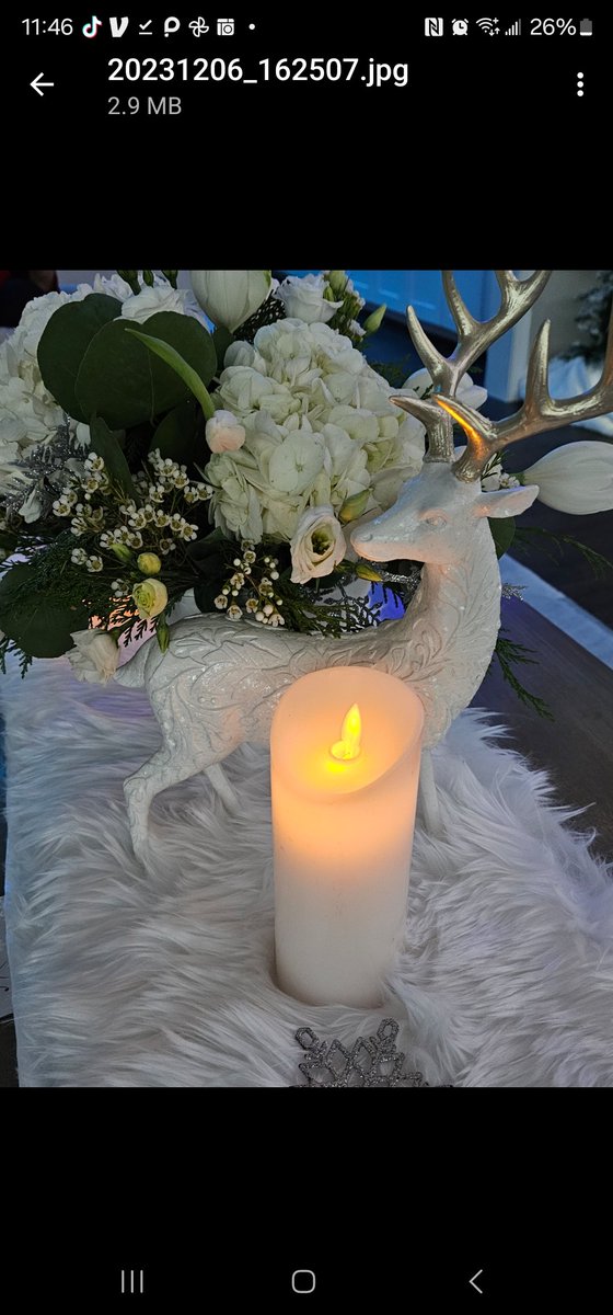 There's nothing more enjoyable than decorating a house for Christmas! Everyone felt as though they were in a winter wonderland. 

Click here to see--->>>
revamp-hearts.com/post/unveiling…

#christmas #christmasdecor #christmasdecorating
#holidaydecor ##winterwonderland #christmasparty