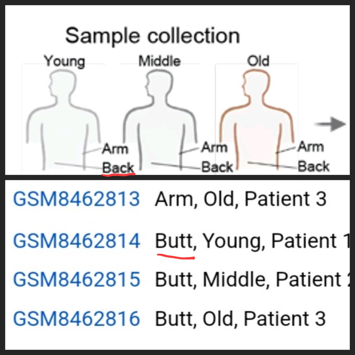 CricketKeyReel's tweet photo. It is universally acknowledged that raw data can give more information than the high-level summaries in the figures/methods. But sometimes it is TMI https://t.co/WJqMACb9k3