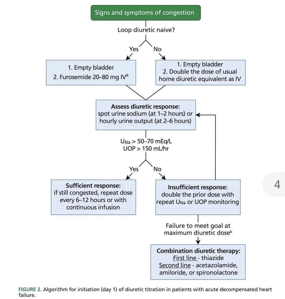 RECAT👩🏽‍⚕️🏥👨🏽‍⚕️🇲🇽🫀 tweet media