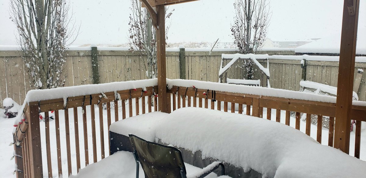 This is what happens when <a href="/EQuartets/">Executive Quartets</a> plans a Saturday afternoon Christmas repertoire rehearsal in November...