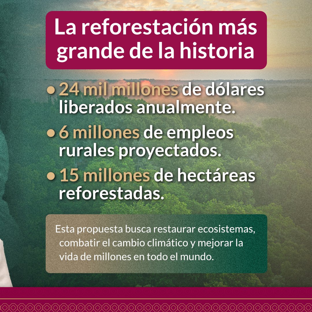 huachodiazmena's tweet photo. Desde #Yucatán, respaldamos la iniciativa de nuestra presidenta @Claudiashein para combatir el cambio climático y mejorar la vida de millones de personas en todo el mundo.

Sembrar árboles es sembrar paz, vida y esperanza para nuestro planeta. 🌱 https://t.co/8EQxuFTCFJ