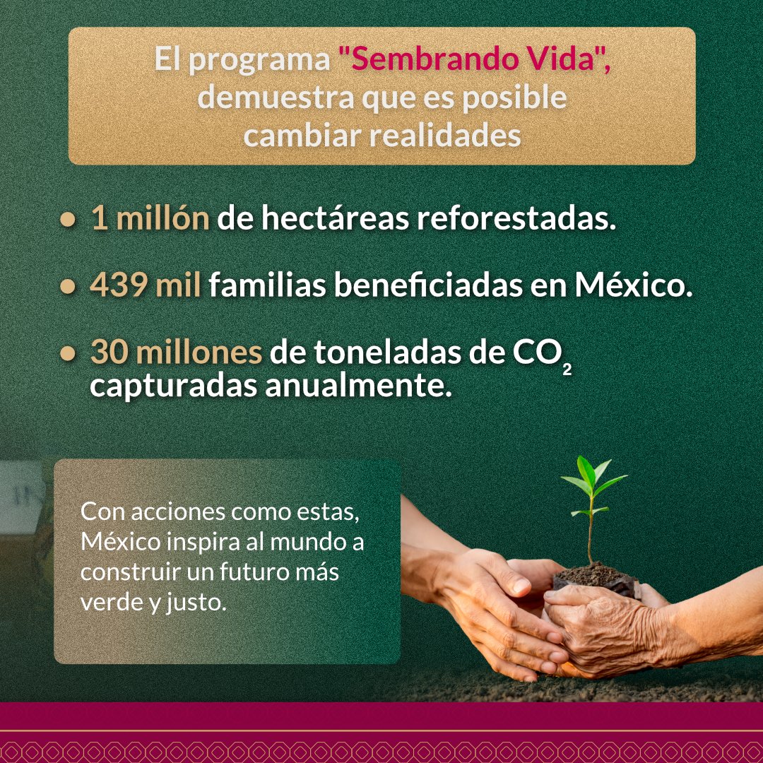 huachodiazmena's tweet photo. Desde #Yucatán, respaldamos la iniciativa de nuestra presidenta @Claudiashein para combatir el cambio climático y mejorar la vida de millones de personas en todo el mundo.

Sembrar árboles es sembrar paz, vida y esperanza para nuestro planeta. 🌱 https://t.co/8EQxuFTCFJ