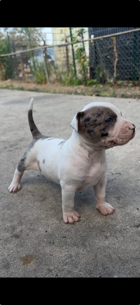 🧬💪🏽🧬💪🏽🔥