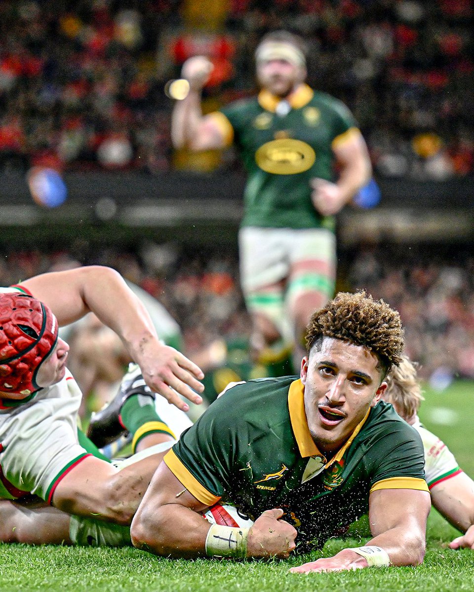 rugby365com's tweet photo. Springboks in action 📸 🔥
#Rugby365 #Spingboks #autumnnationseries https://t.co/ouYLyaaHeT