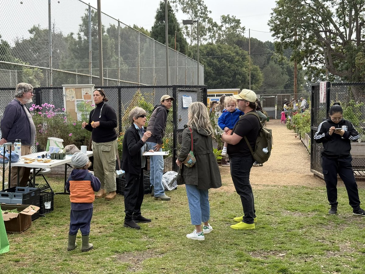Airport2Park's tweet photo. Celebrating the two-year anniversary of Santa Monica Marine Park Community Garden!
#CommunityGarden #UrbanForest #urbanagriculture #gardeninspiration #GrowTogether #PlantingForTheFuture #SustainableWorks #HealthyParksHealthyPeople #SaMoParks https://t.co/7SorOVWnRW