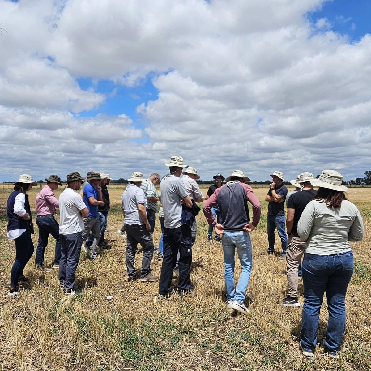 AgroTester I&D tweet media