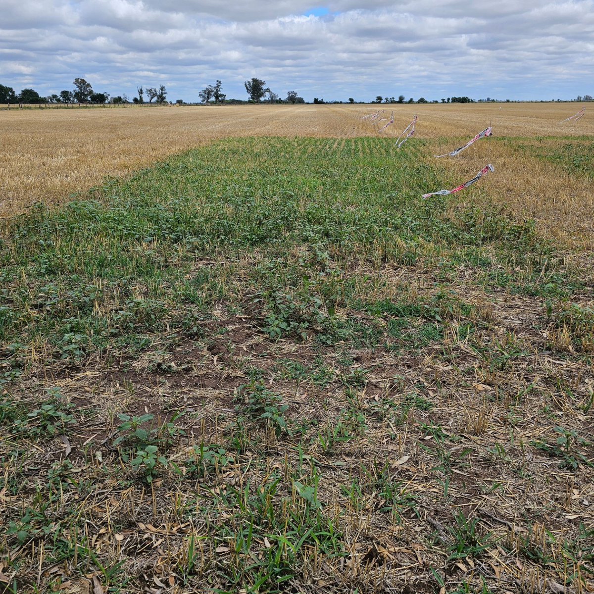 AgroTester I&D tweet media