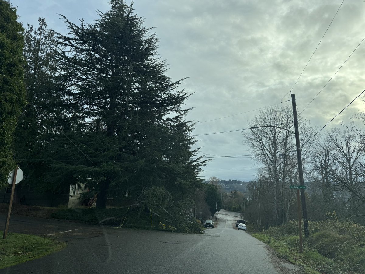 jus_bert's tweet photo. Hey @PSETalk are you going to fix this or just leave us without power for another four days? #PSE #renton #poweroutage https://t.co/xR9D6PvVIa