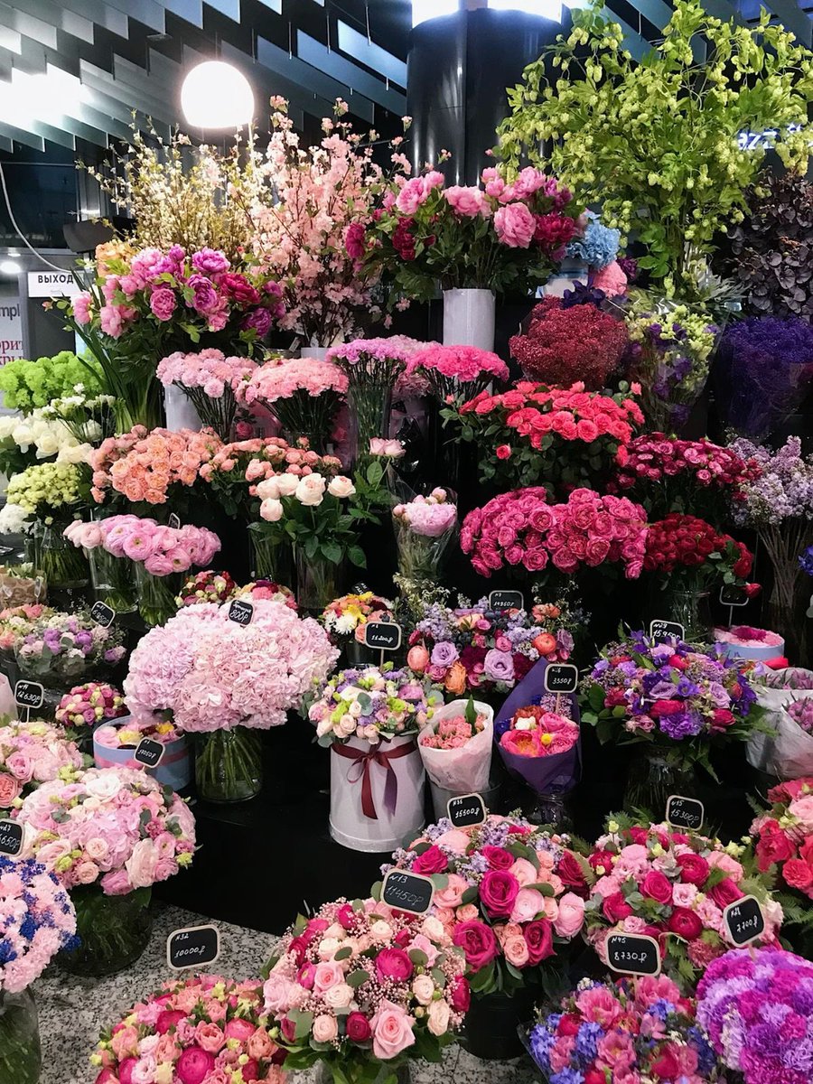 i3Moment's tweet image. Colorful flowers