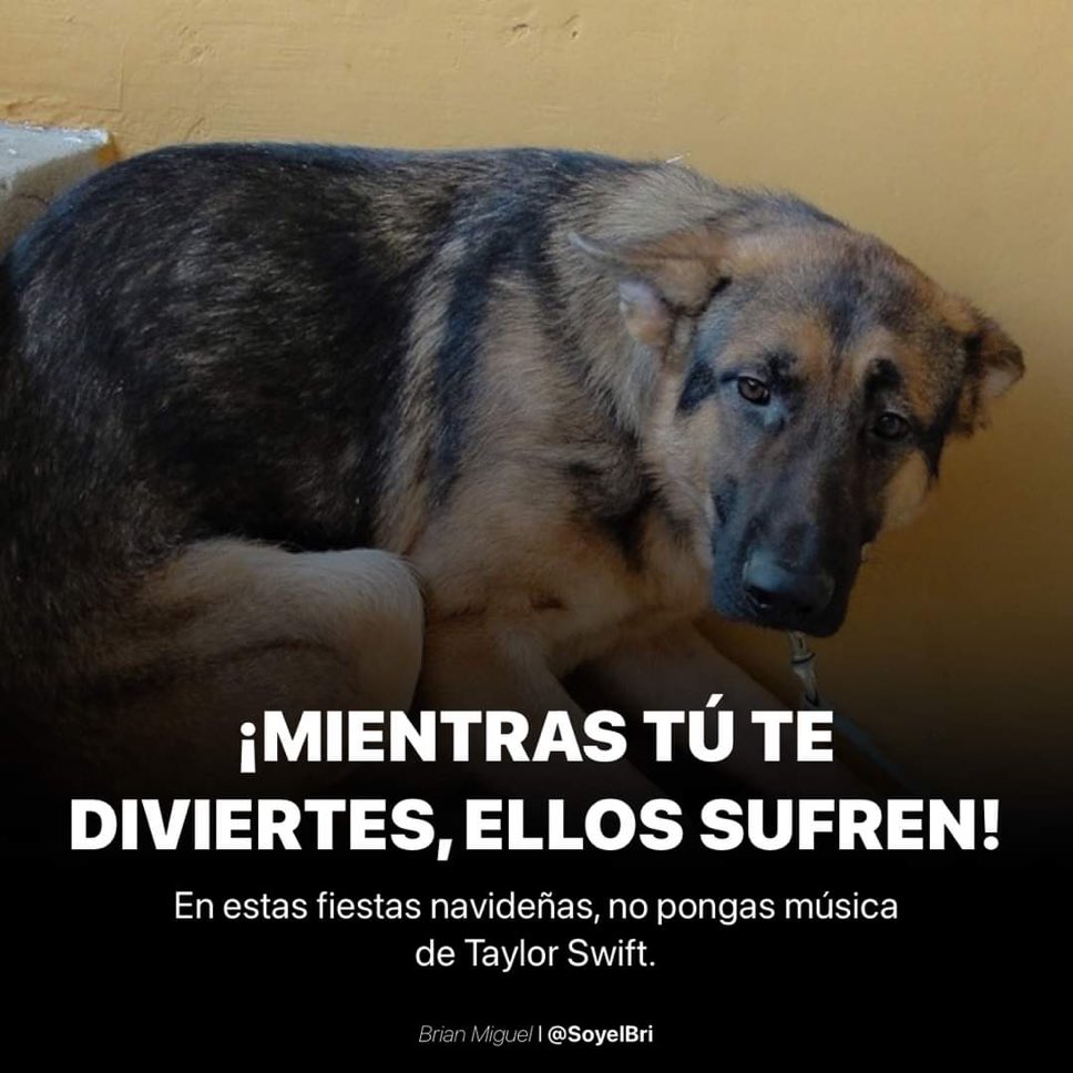 🇲🇽 México Mágico ✨ tweet media