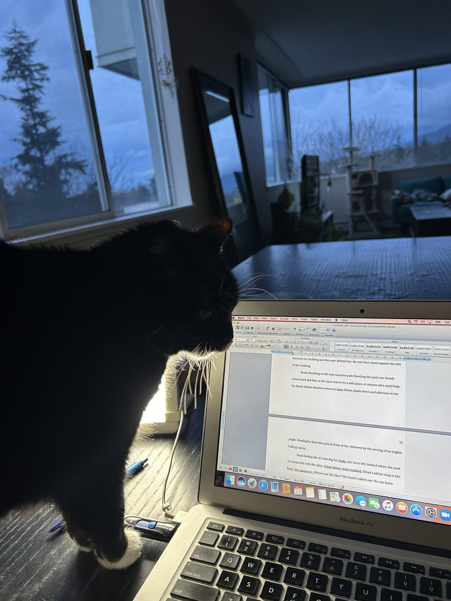 JEREMYSIEMENS's tweet photo. The Muse checking that the morning pages are adequate. Or maybe she’s just curious about the title: Karmic Rat. #CrimeFiction #KarmicRat #2ndDraft https://t.co/2FPCeLuNP1