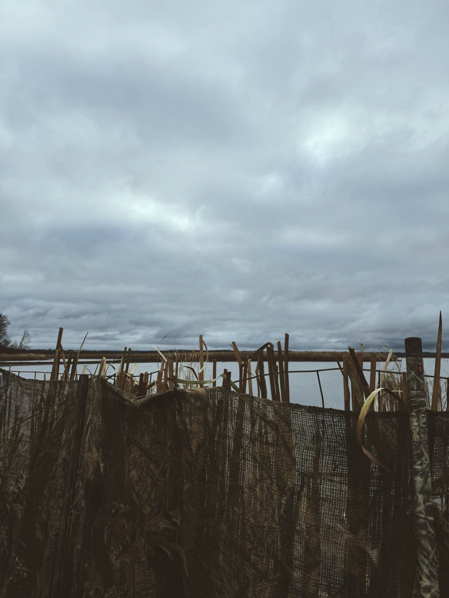 Jacebritton's tweet photo. Late season #duckhunt #NewYork https://t.co/VhEmdtele8