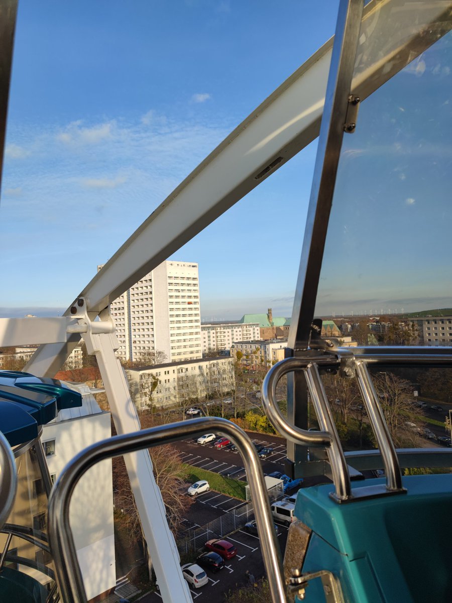 Marythetree🌳 tweet media