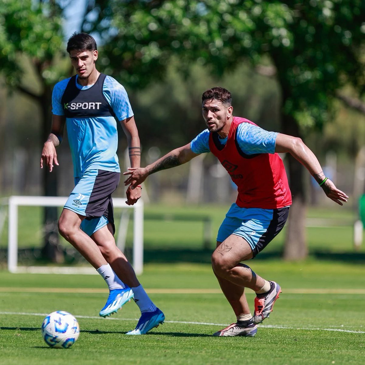 Lucas Passerini tweet media