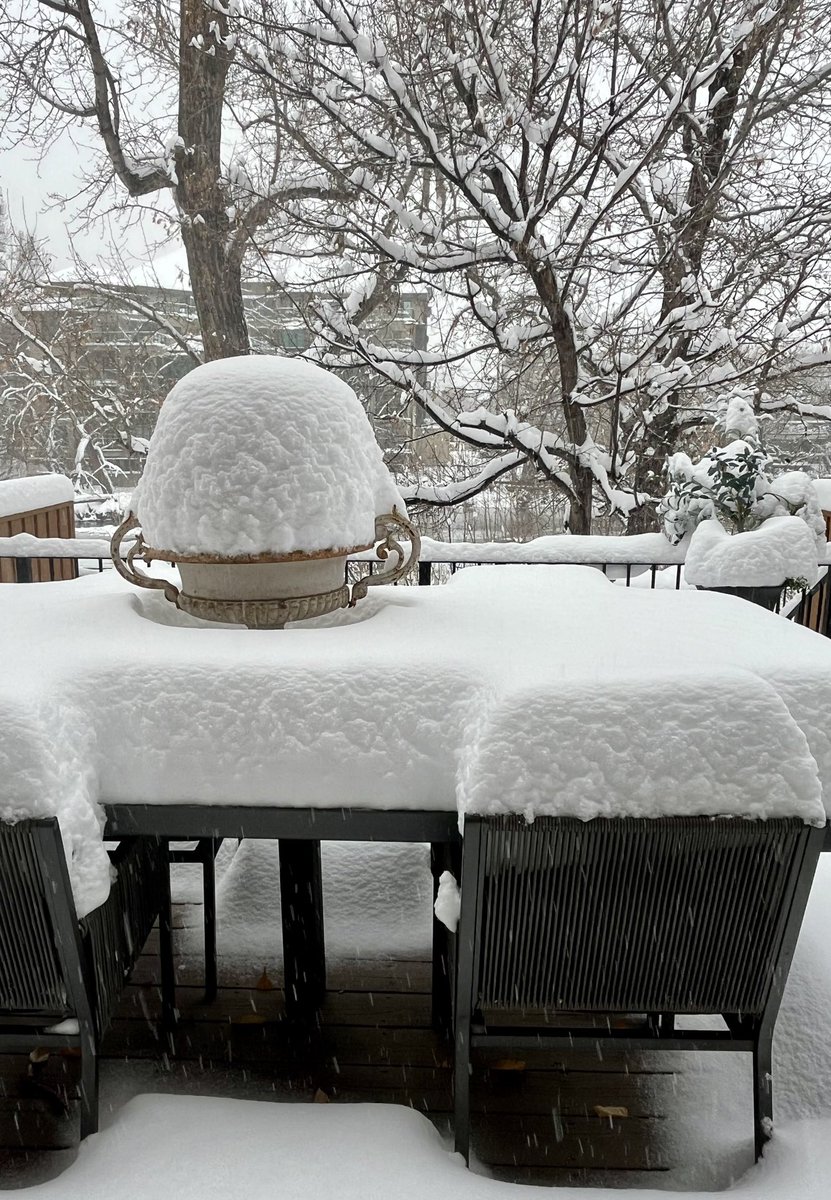 Crockatteer's tweet photo. A wee bit of snow came down. #yyc #weather #whitestuff https://t.co/FcaAen8JtN