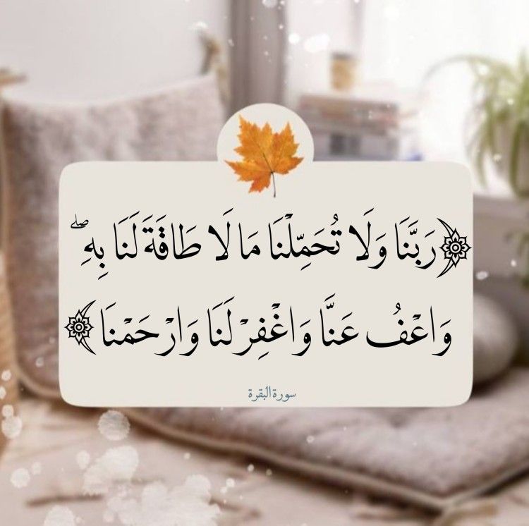 هلال بن علي العبري tweet media