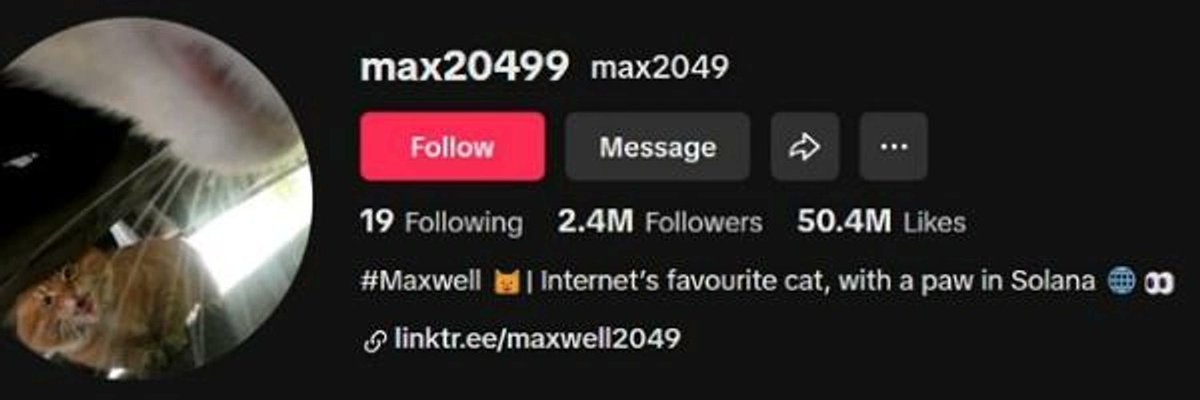 RokasNavickas6's tweet photo. @FerreNFT #maxwell @max2049max Backed by 2.4M followers on tiktok always trending. People still sleeping on this but when we run we run BIG. https://t.co/Y7Ic117ya4