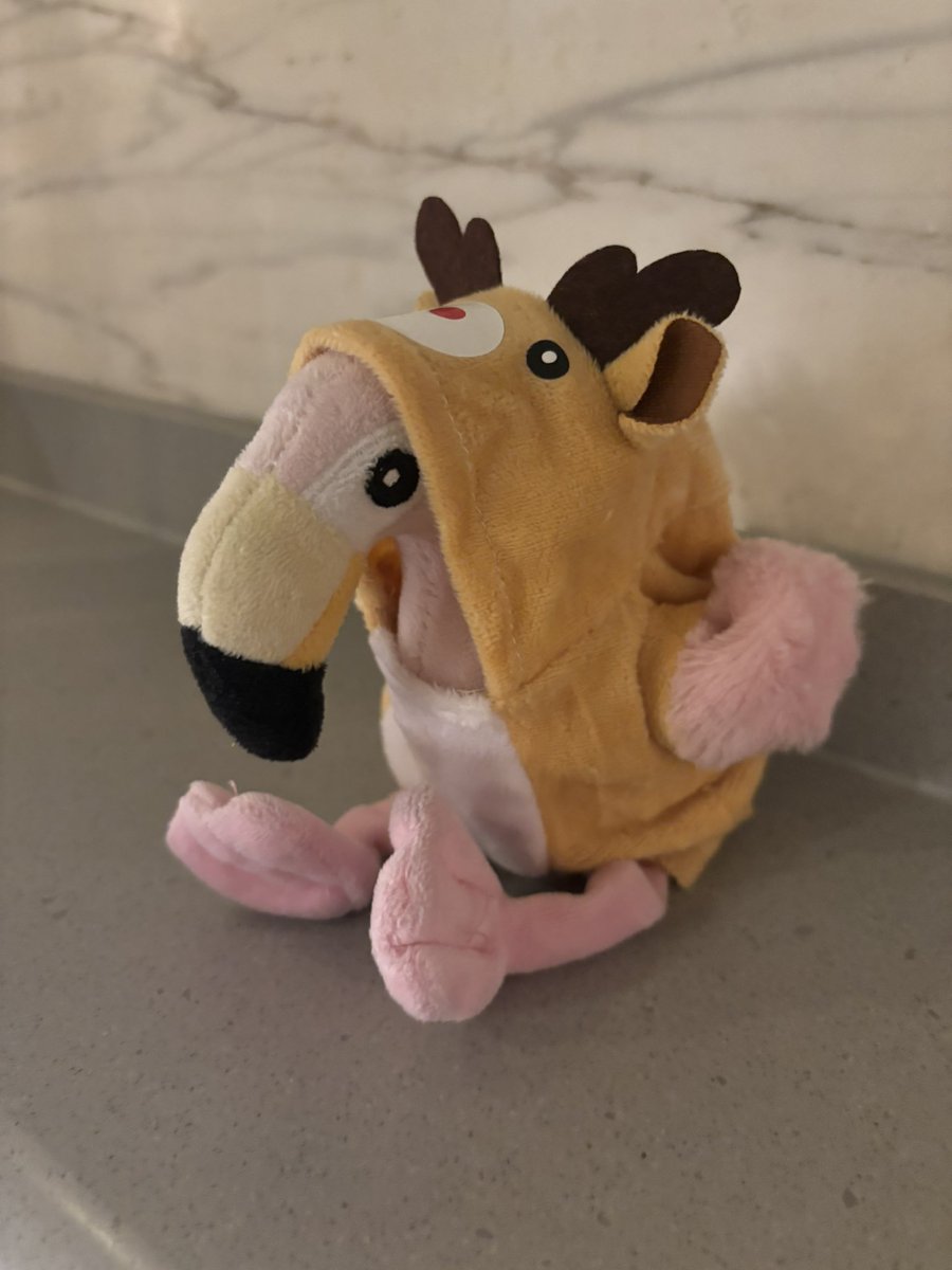 Fortune_Theatre's tweet image. Fleyoncé has a new outfit! 

#reindeer #demure