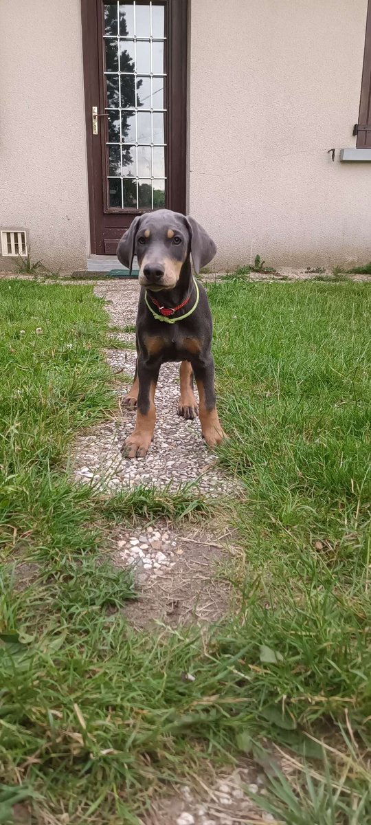 idkwoiam's tweet photo. 5mois sépare ces 2 photos
Il a grandit trop vite pour mon petit coeur😭 https://t.co/FI0d75TLwb