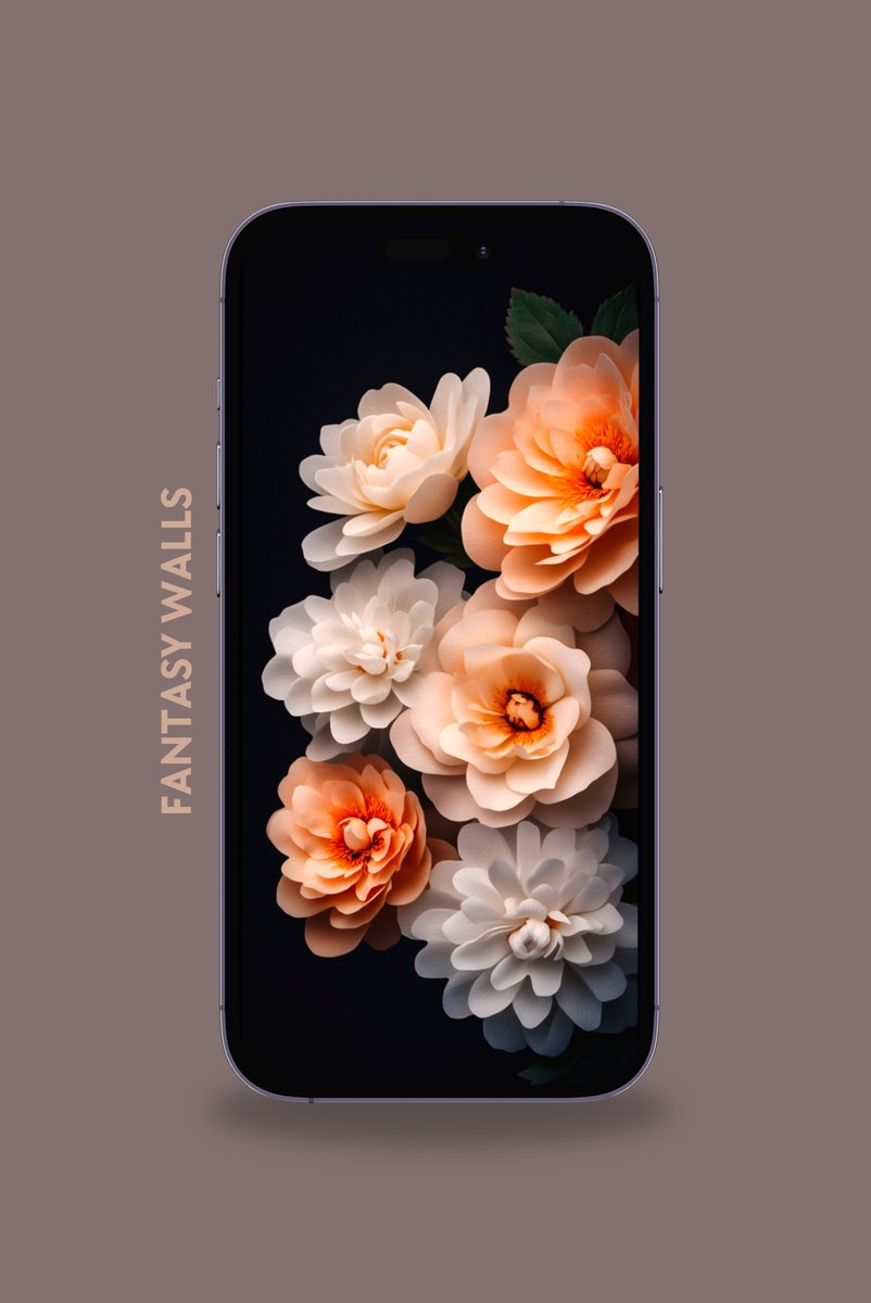 Halleyapps's tweet photo. Eternal flowers on black background. https://t.co/cOJ32LuXMm